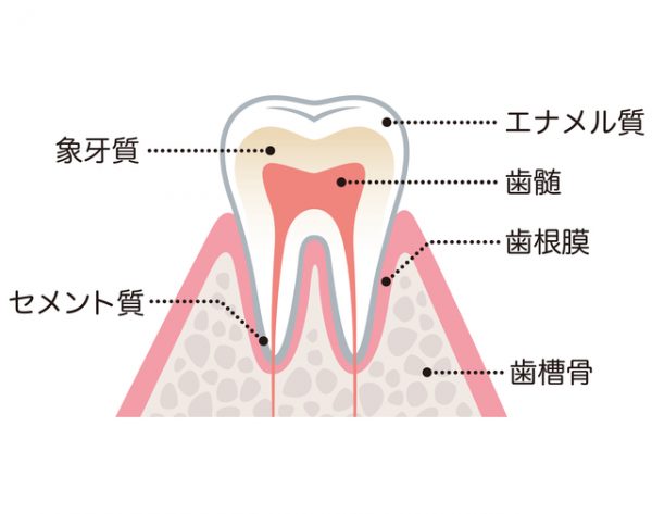 虫歯治療